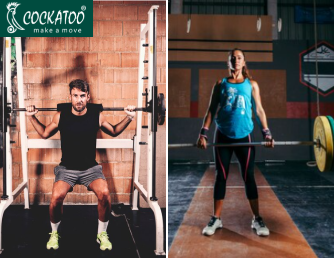 9 Weight Lifting Bars Types and When to Use Them Cockatoo