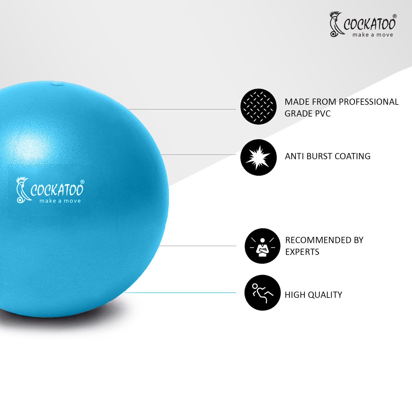Cockatoo 20 CM Mini Aerobic Ball/Gym Ball Anti Burst Exercise Fitness Pilates Balance Ball with Straw for Air