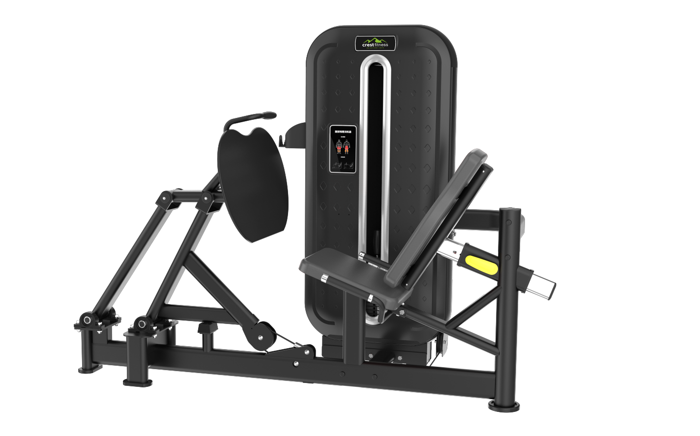 Magnum leg press online