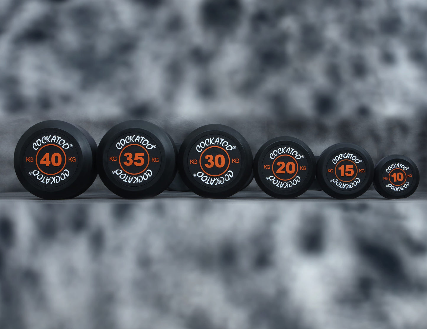 EZ CURL BARBELL WITH FIXED WEIGHT