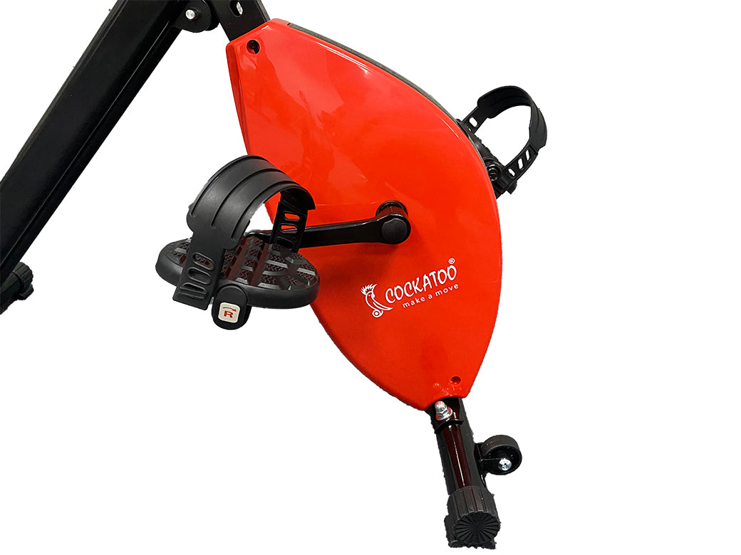 X BIKE WITH BACK SUPPORT CXB 06