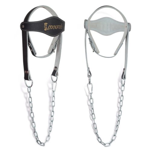 Head Harness