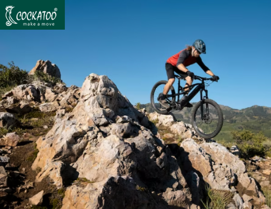 Mountain Bikes vs. Road Bikes: Which One Is Right for You?