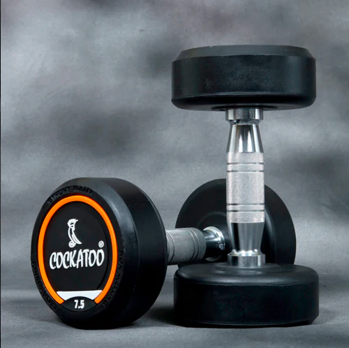 Build Your Home Gym: Why Rubber Dumbbell Sets Are Essential Equipment?