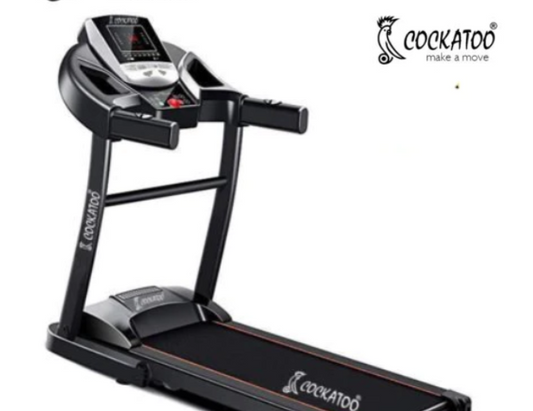 Treadmill for Gym: Boosting Endurance and Stamina