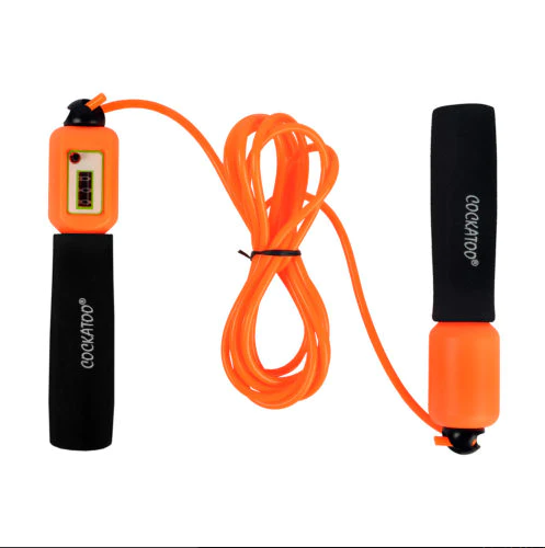 Skipping Rode Exploring the Best Skipping Rope for Beginners