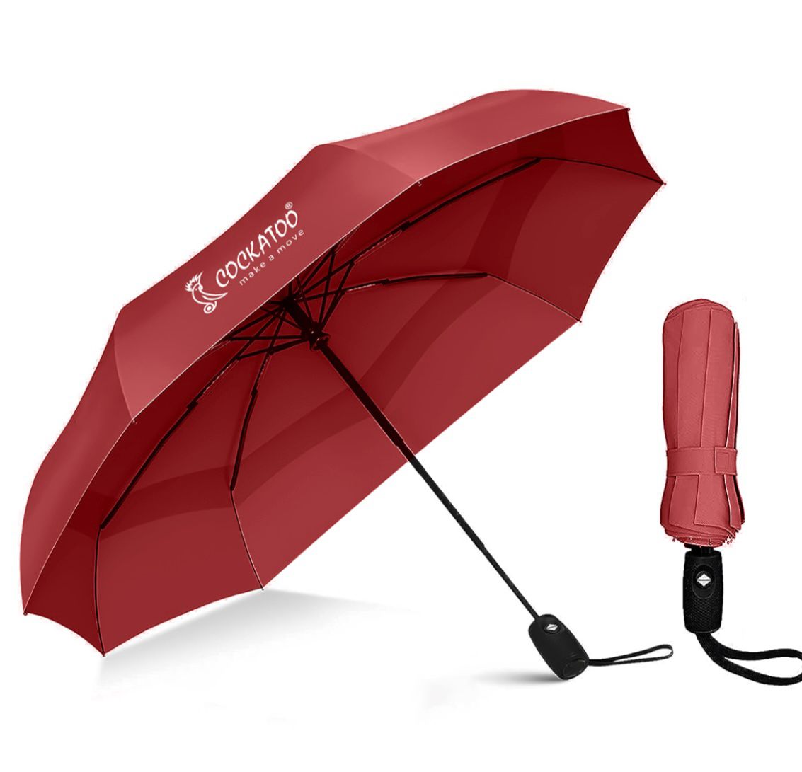 Buy Umbrella at Best Price