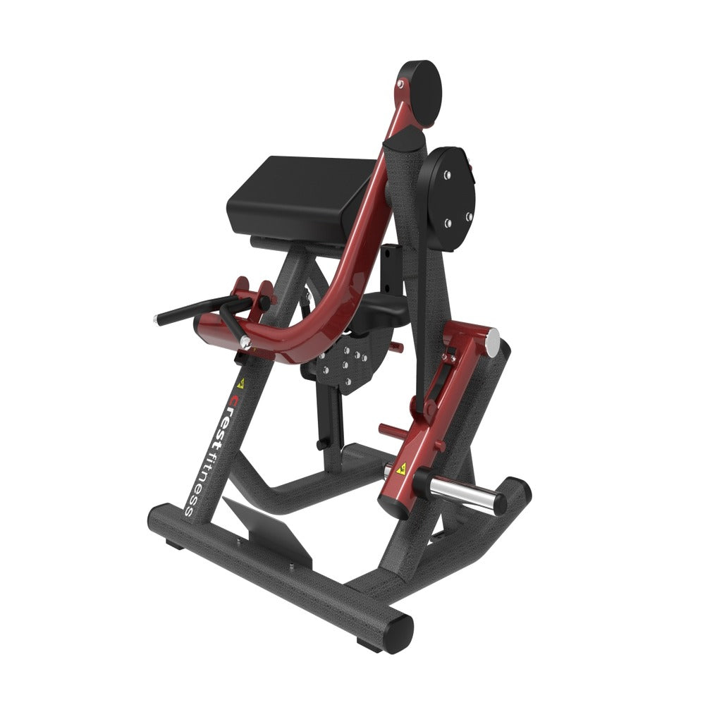 Cockatoo Crest Biceps Curl