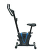 UPRIGHT BELT BIKE CUB