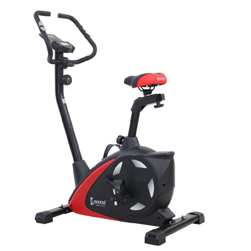 Cockatoo Upright Bike CUB 101