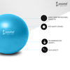 Cockatoo 20 CM Mini Aerobic Ball/Gym Ball Anti Burst Exercise Fitness Pilates Balance Ball with Straw for Air