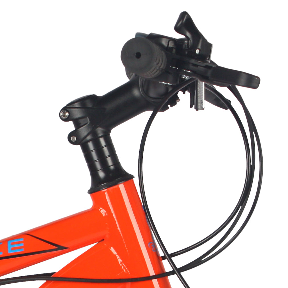 21 SPEED STEEL FRAME CYCLE ( 26") - CBC 07