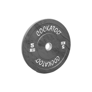 Olympic Bumper Rubber Powerlifting Plates Gym at Best Price Cockatoo India