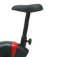 UPRIGHT BELT BIKE CUB