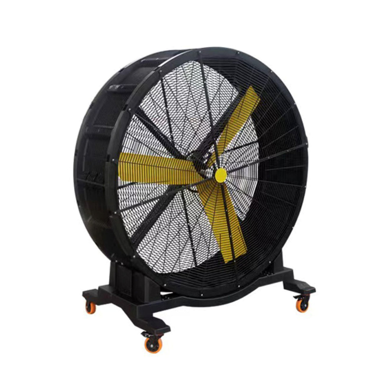 Cockatoo GYM FAN