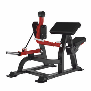 Biceps Curl- DH Series