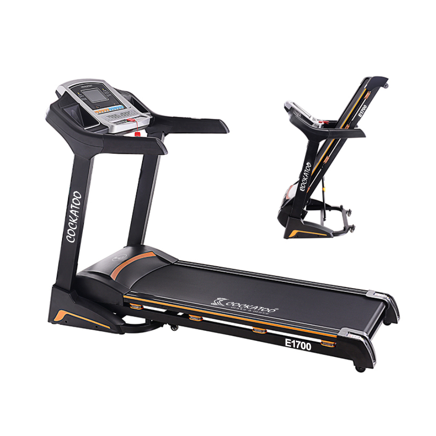 E-1700 Treadmill 5.5 HP Peak AC Motorised Treadmill