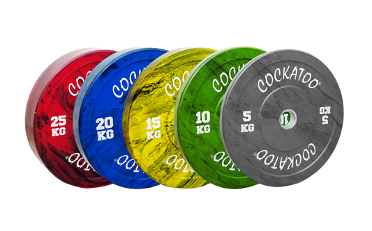 Fusion Bumper Plates