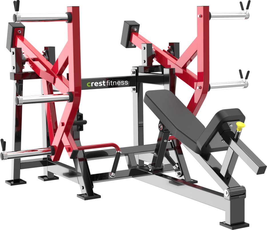 Cockatoo Lateral Chest Press - back view