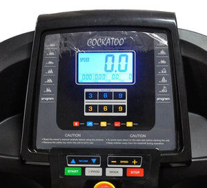 Cockatoo Imported Runner 2-4 HP | DC Motorized Treadmill| 12 Levels Auto Incline