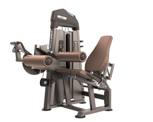 Shop Leg Extension Machine for Targeted Leg Workouts - Cockatoo
