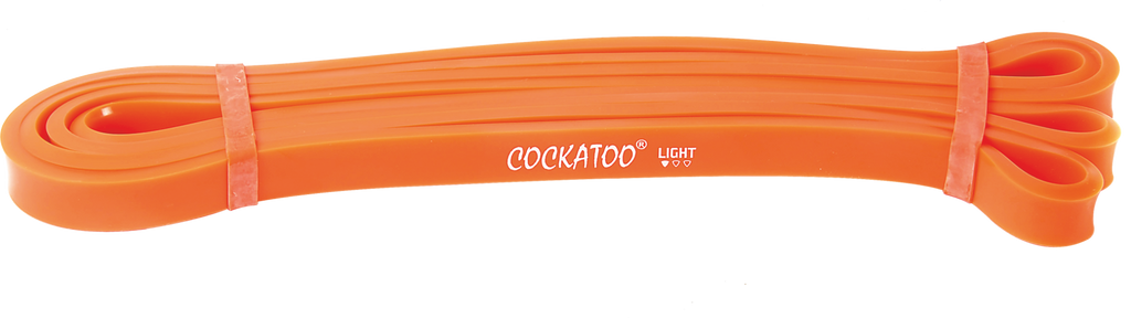 Cockatoo Power Loop Bands
