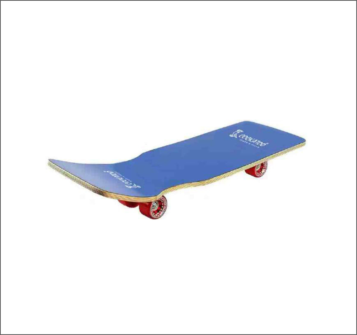 Cockatoo Rock SkateBoard