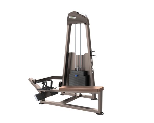 Buy Seated Horizontal Pulley Machine for Strength Training - Cockatoo