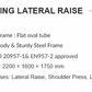 Standing Lateral Raise