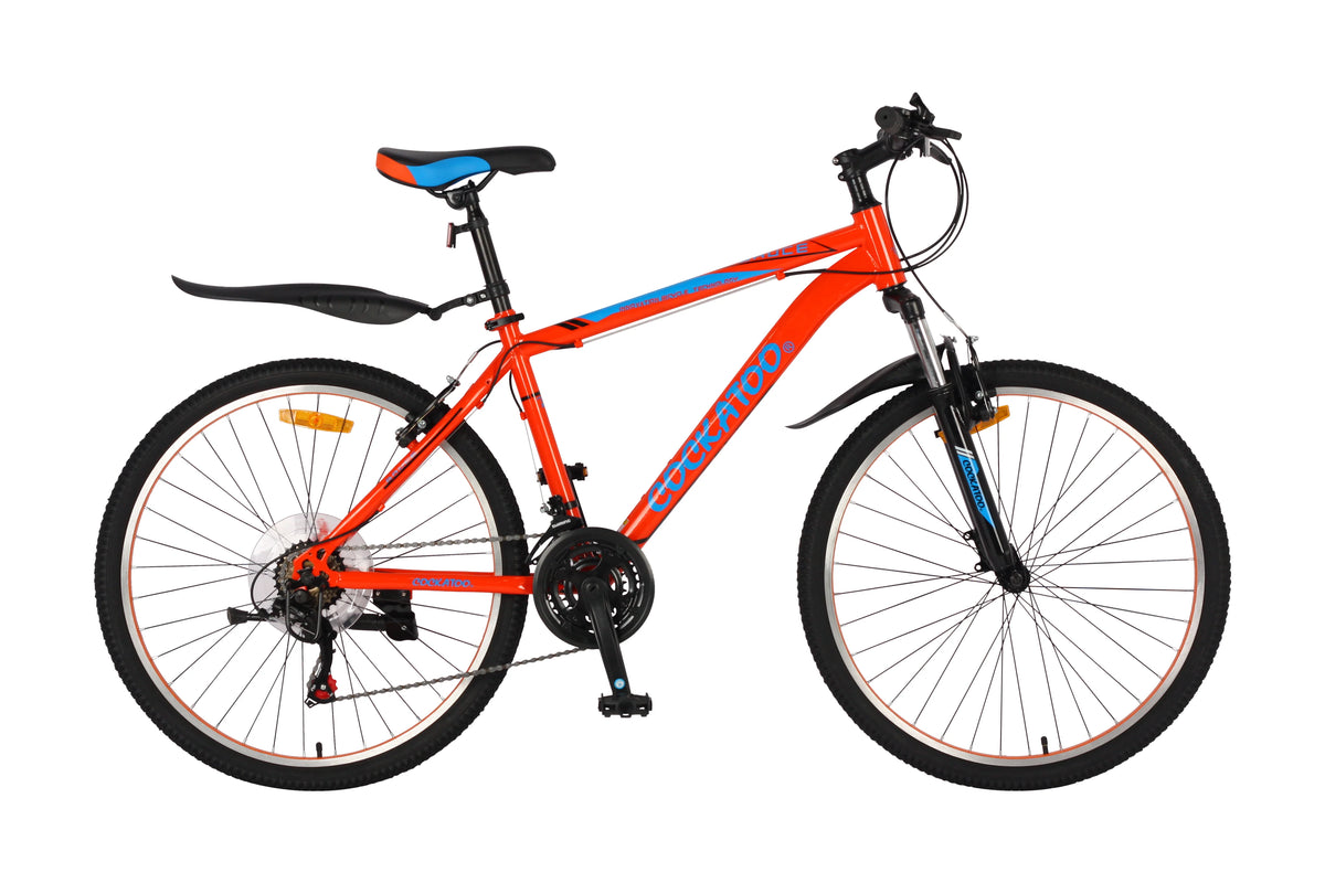 Cockatoo Adventure Ride Gift Pack