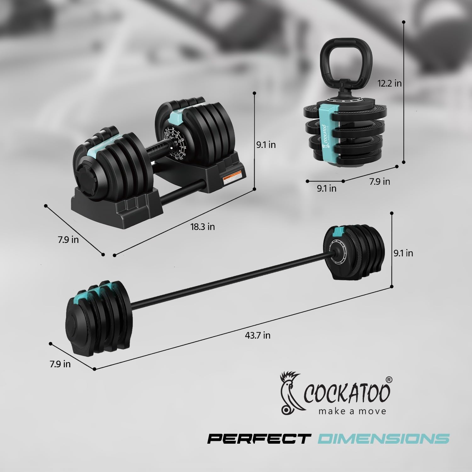 Cockatoo Adjustable Dumbbell in With Connecting Rod Kettlebell