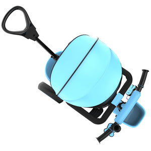 Cockatoo Little Traveller Tricycle For Kids 2 -5 yrs| Tricycle With Parental Control, Canopy & Push Handle