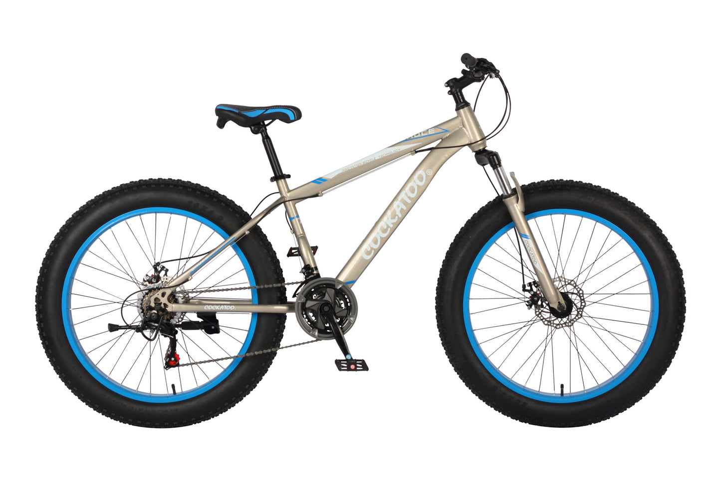 FAT BIKE- CFB 01