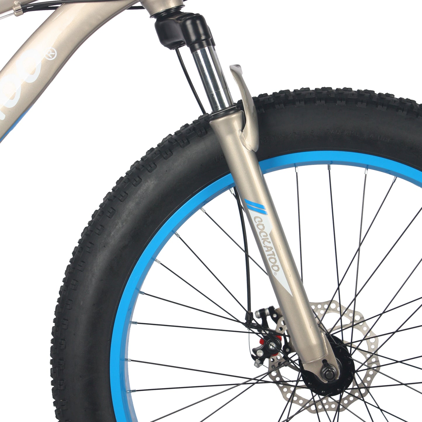 FAT BIKE- CFB 01