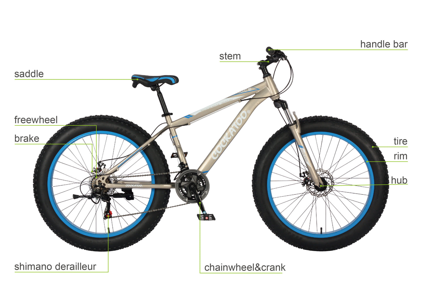 FAT BIKE- CFB 01