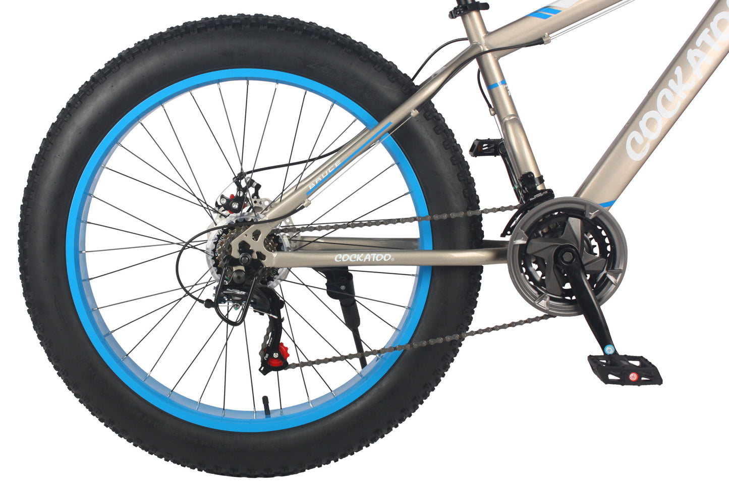 FAT BIKE- CFB 01
