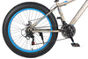 FAT BIKE- CFB 01