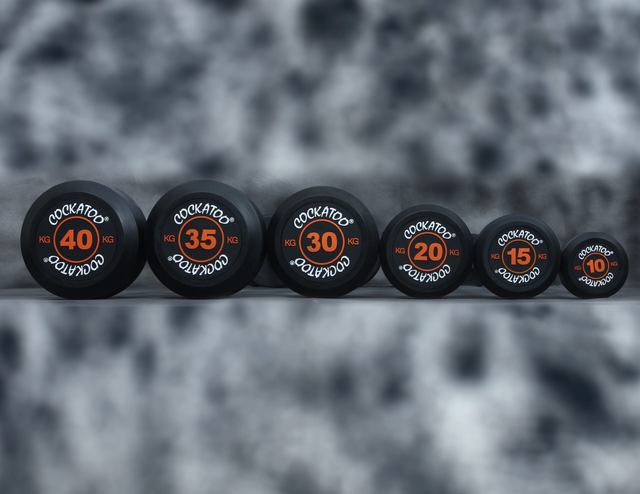 Buy Weight Lifting Rods, Gym Rod, Dumbbell Bar - Cockatoo