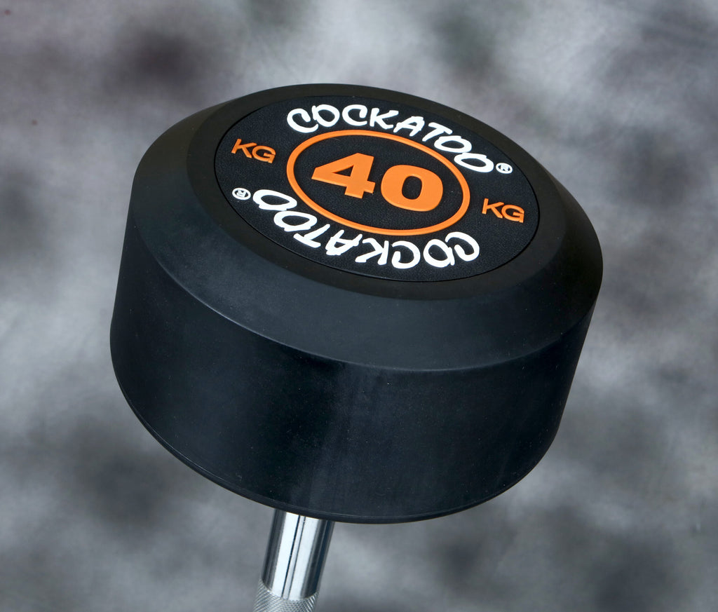 EZ CURL BARBELL WITH FIXED WEIGHT Cockatoo