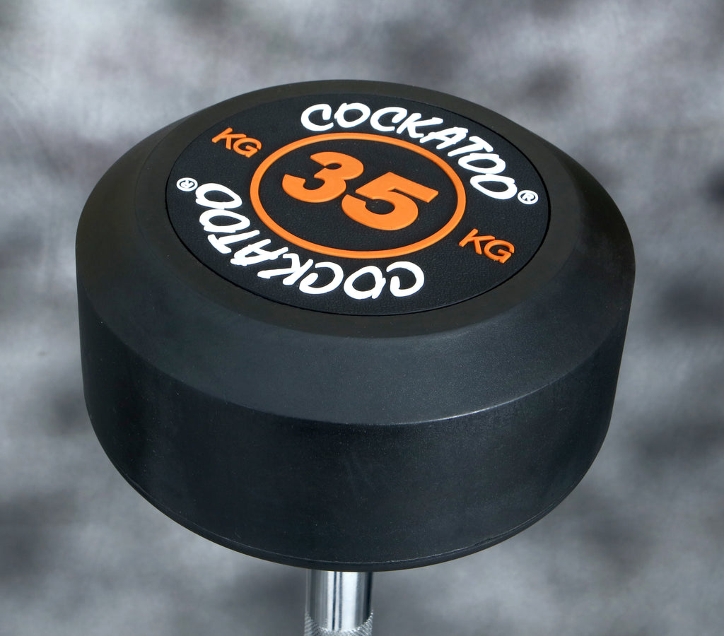 EZ CURL BARBELL WITH FIXED WEIGHT Cockatoo