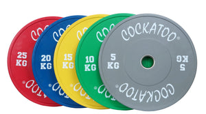 Colour Bumper Plates (Pair)