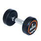 ROUND RUBBER COATED DUMBBELLS