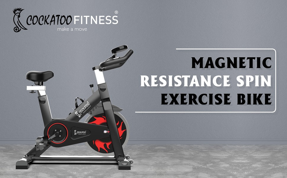 Sunny Synergy Magnetic Synergy Pro Spin Bike Magnetic Resistance