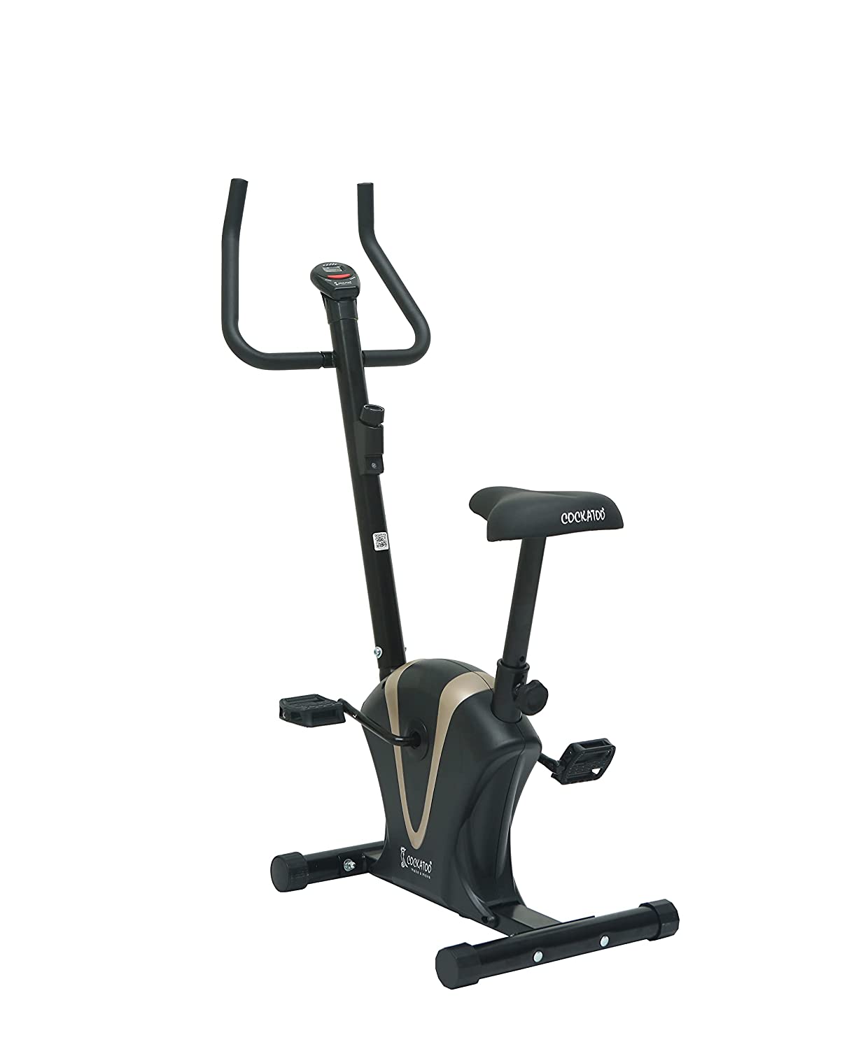 UPRIGHT BELT BIKE CUB 02