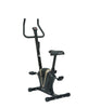 UPRIGHT BELT BIKE CUB 02