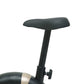 UPRIGHT BELT BIKE CUB 02