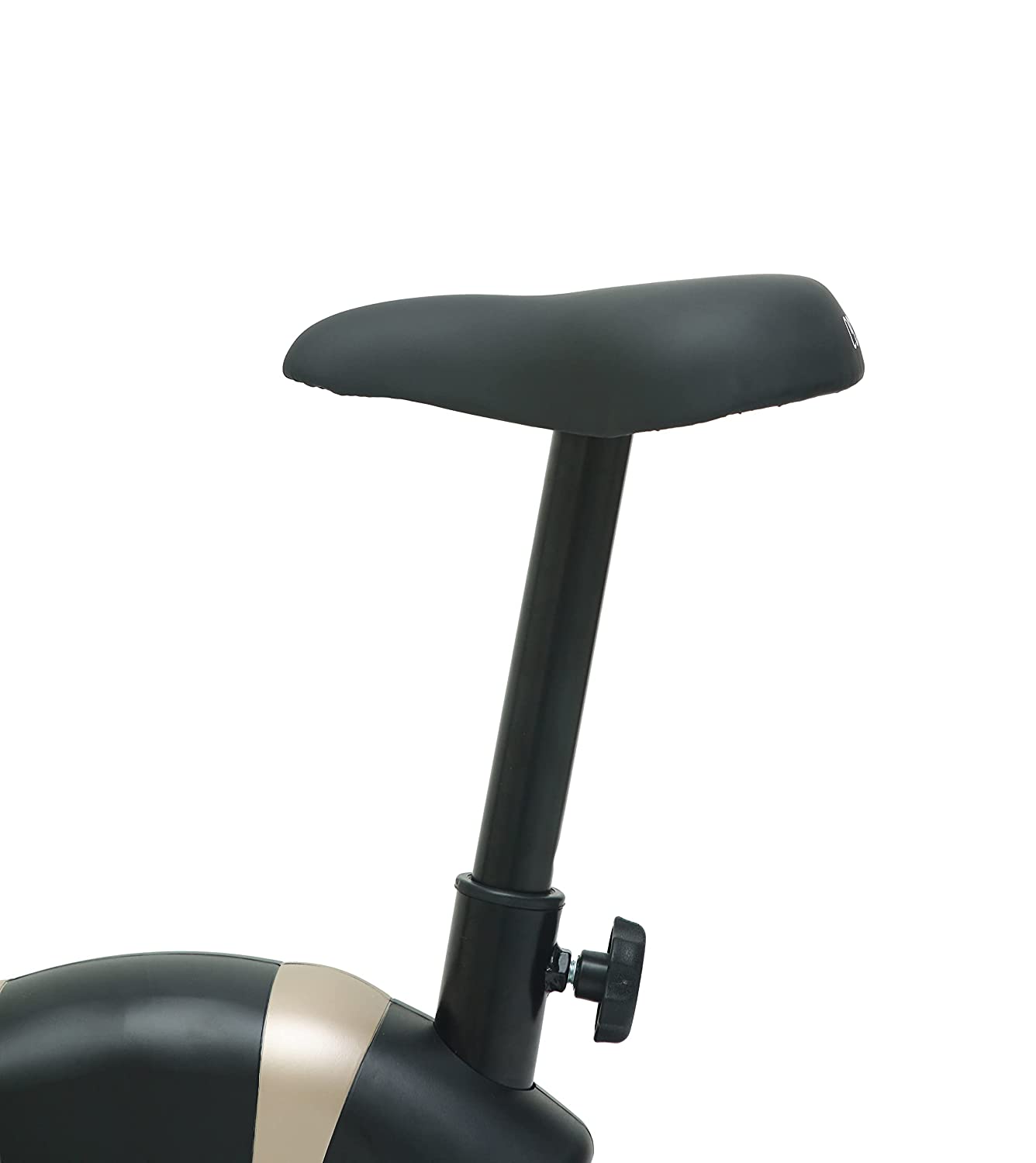 UPRIGHT BELT BIKE CUB 02