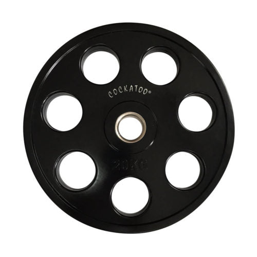 Cockatoo gym plates 2025