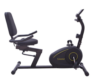 Recumbent Bike CRB 02