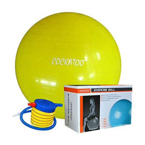 Gym Ball - 85 Cms.